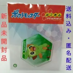 ポケットモンスター ハニカムアクリルマグネット サルノリ