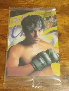 【複数枚割引あり】宇佐美正パトリック RIZIN ライジン カード(95)