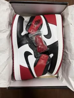 Nike Air Jordan 1 つま黒 2016 28.0㎝