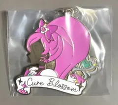 一番くじ プリキュア ～Shining moment～ F賞 キュアブロッサム