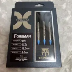 XQMAX HALCYON 19g ソフトチップダーツ XQMAX HALCYON 19g ソフトチップダーツ - メルカリ