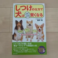 しつけの仕方で犬はどんどん賢くなる