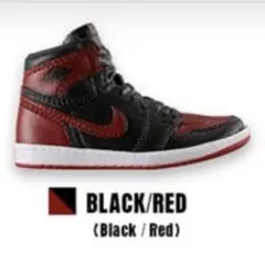 マウンテン様 リクエスト 2点 まとめ商品