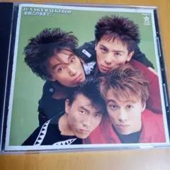 2025年最新】ジュンスカイウォーカーズ グッズの人気アイテム