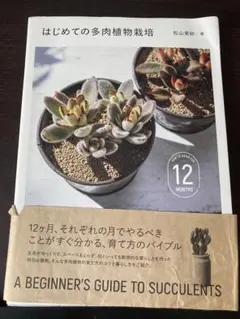 はじめての多肉植物栽培