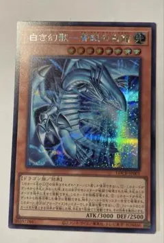 s2_kaiser様 リクエスト 2点 まとめ商品