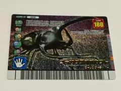 コーカサスオオカブト