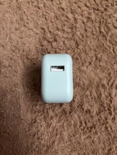 ライトブルー USB充電器 二口プラグ