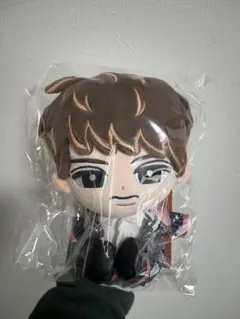 向井康二 BIGスノチル