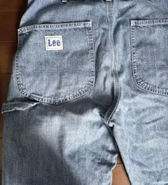 Lee ペインターパンツ　LL6288 Mサイズ