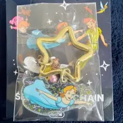 ディズニーストア シークレットキーチェーン