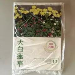 大白蓮華 昭和37年2月号〜昭和39年11月号まで、不揃い 2025年最新】大白蓮華の人気アイテム - メルカリ