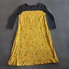 graniph ワンピース