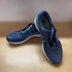 Item thumbnail for item 6d6959a1-e74f-41d9-89b6-7c39d4f863c5