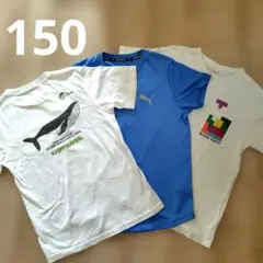 半袖Tシャツ　3枚セット　KRIFF MAYER　puma　など　150