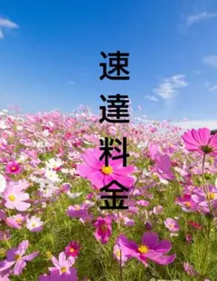 がっちゃん様 リクエスト 2点 まとめ商品