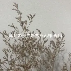 幸せのうさぎちゃん様 専用
