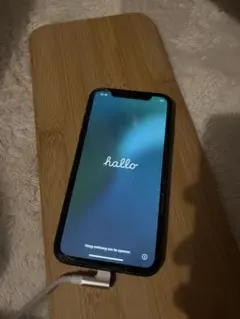 Item thumbnail for item 97af778e-8f49-45c8-bb41-acab2e0e97c4