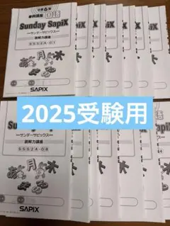 SAPIX 6年 国語 サンデー サピックス 読解力講座 14回 フル 欠番なし