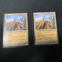 MTG 不毛の大地2枚セット 不毛の大地 日本語 2枚セット MTG 初版 TMP - メルカリ