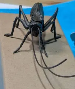 2026年最新】バッタの人気アイテム - メルカリ