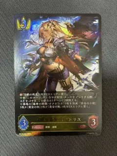 2026年最新】シャドウバースエボルヴの人気アイテム - メルカリ