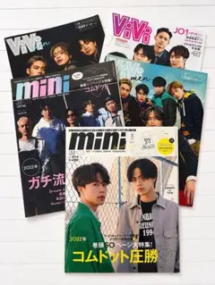 ViVi 2022年1月号 特別版 コムドット付録ステッカー付 - メルカリ