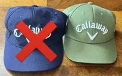 Item thumbnail for item 31e105b4-cf7d-40e6-9360-956af88f8bc3