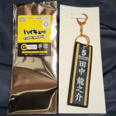 タイトーくじ ハイキュー!! 田中龍之介 フライトタグ