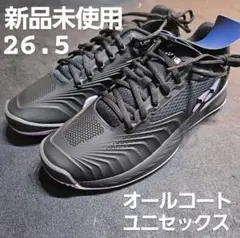 新品未使用　定価19.300円　YONEXシューズ