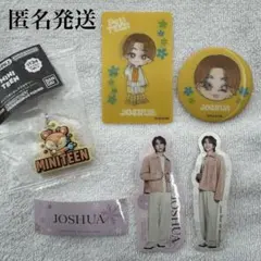 SEVENTEEN MINITEEN めじるしぷっくりキーホルダー ジョシュア