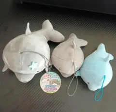 2025年最新】みいるかぬいぐるみの人気アイテム - メルカリ