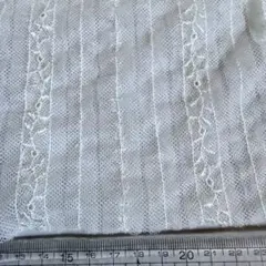 チュールレース生地 ストライプ刺繍生地オフホワイト100×20cm 追加可能