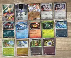 ホワイトフレア ヨーテリー、ゴチム他まとめうり