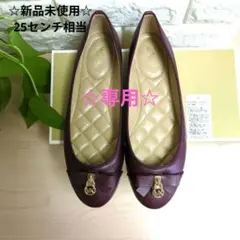 ☆新品未使用☆マイケル　コース　バレーシューズ　　25センチのサムネイル