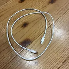 lightning USB-C 充電器コード 純正