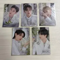 straykids maniac ステッカー