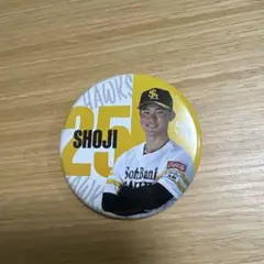 即購入⭕️ 福岡ソフトバンクホークス 山川穂高選手 若鷹ガチャ 缶