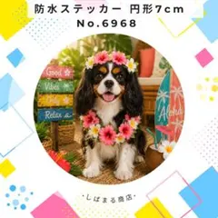 【送料無料❣️】キャバリア防水ステッカー 7cm 円形 ハワイアンのサムネイル