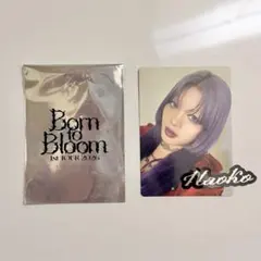 HANA NAOKO トレカ　ツアー