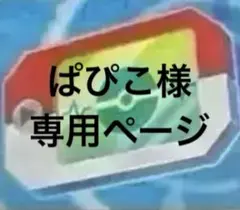 ぱぴこ様　専用ページ　まとめ売り