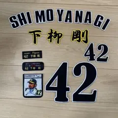 下柳剛 42 ワッペン HANSIN Tigers