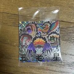 ワンピース　ウエハース　シール　シークレット　五老星