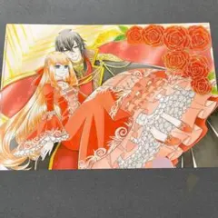 シチュー様専用 滝川るる&ラフルル -閃光のヒロイン- 通常 - メルカリ