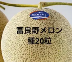 高知県産 赤肉メロン 8玉入り 約7.1kg（下箱込み） - メルカリ