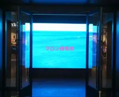 マロン様専用 BLAZER