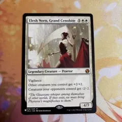 2026年最新】大修道士 エリシュ ノーンの人気アイテム - メルカリ