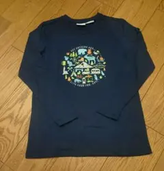 コロンビア Tシャツ