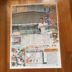 超希少】非売品 大谷翔平 2013 初勝利 ルーキー 道新スポーツ15周年