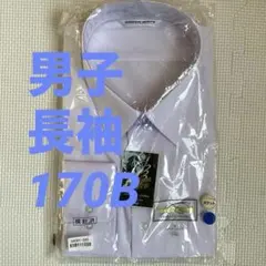 Item thumbnail for item f4a06733-1e1c-466f-995f-ae1204b2a6dc